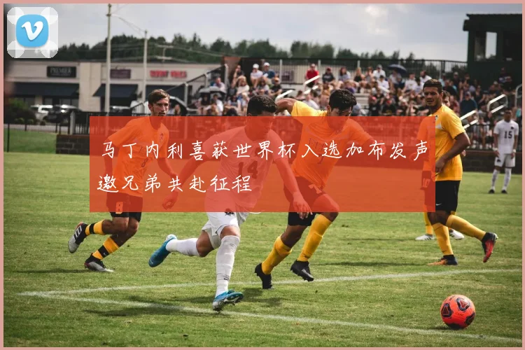 马丁内利喜获世界杯入选加布发声邀兄弟共赴征程